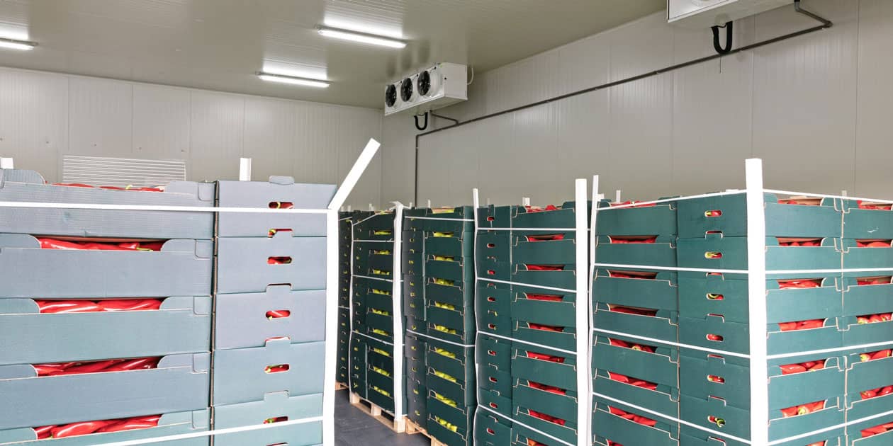 How Cold Room Storage Enhances Food Safety in UAE